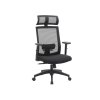 ergonomischer %20Computer stuhl OBN55BK 1