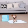 Pet Training Pads 3