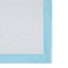 Disposable Pet Training Pads PTD95BU 6