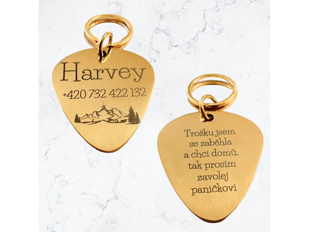 By Evka - psí známka s Lysou Horou, vlastní text, Beskydy, hory - zlatá, chirurgická ocel