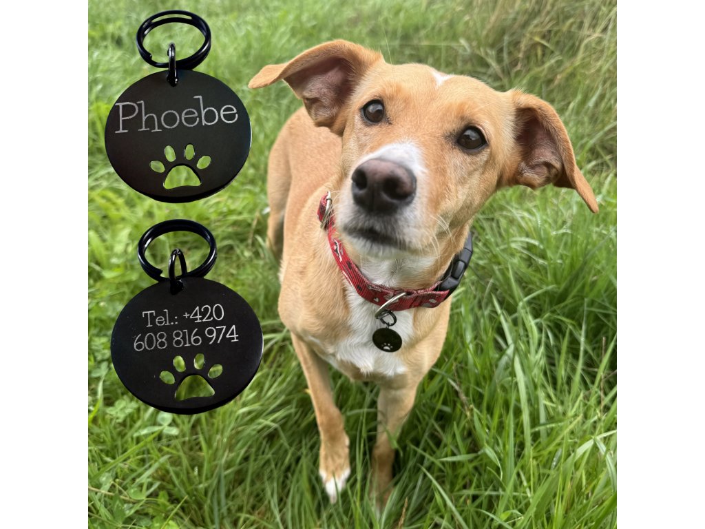 By Evka - psí známka s vlastním textem, chirurgická ocel, Kulatá černá psí známka s tlapkou