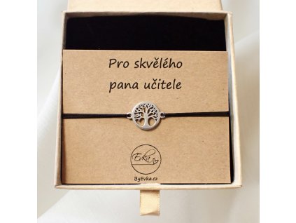Dárek pro učitelku, učitele, vychovatelkuk a asistentku (15)