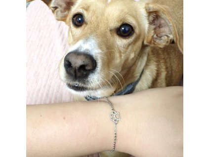 D12316C9 0671 423C 9AE6 724FE410FBC5