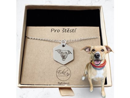 Portrét hlavy domácího mazlíčka (pes, kočka,...) - šestiúhelník - řetízek na krk