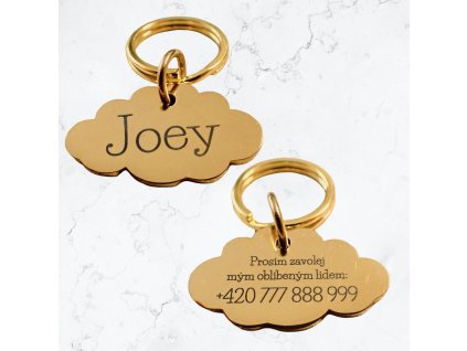 By Evka psí známka s vlastním textem, chirurgická ocel, zlatá psí známka ve tvaru mraku (3)