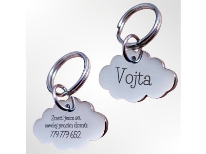 By Evka psí známka s vlastním textem, chirurgická ocel, stříbrná psí známka ve tvaru mraku (3)