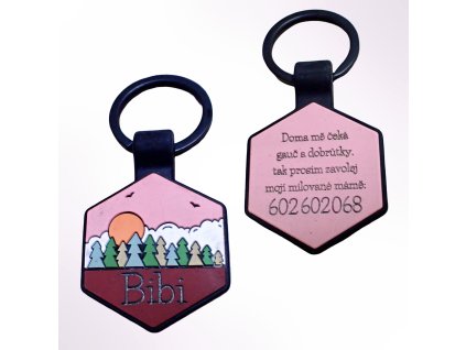 By Evka silikonová psí známka šestiúhelník, která necinká růžová západ slunce nad lesy vlastní text (1)