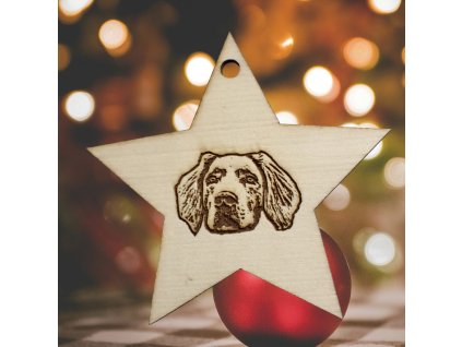 By Evka gravírování do dřevěné hvězdičky zavěšení na stromek (2)