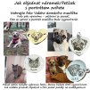 Jak objednat NOVÉ 1.10.2025 V2