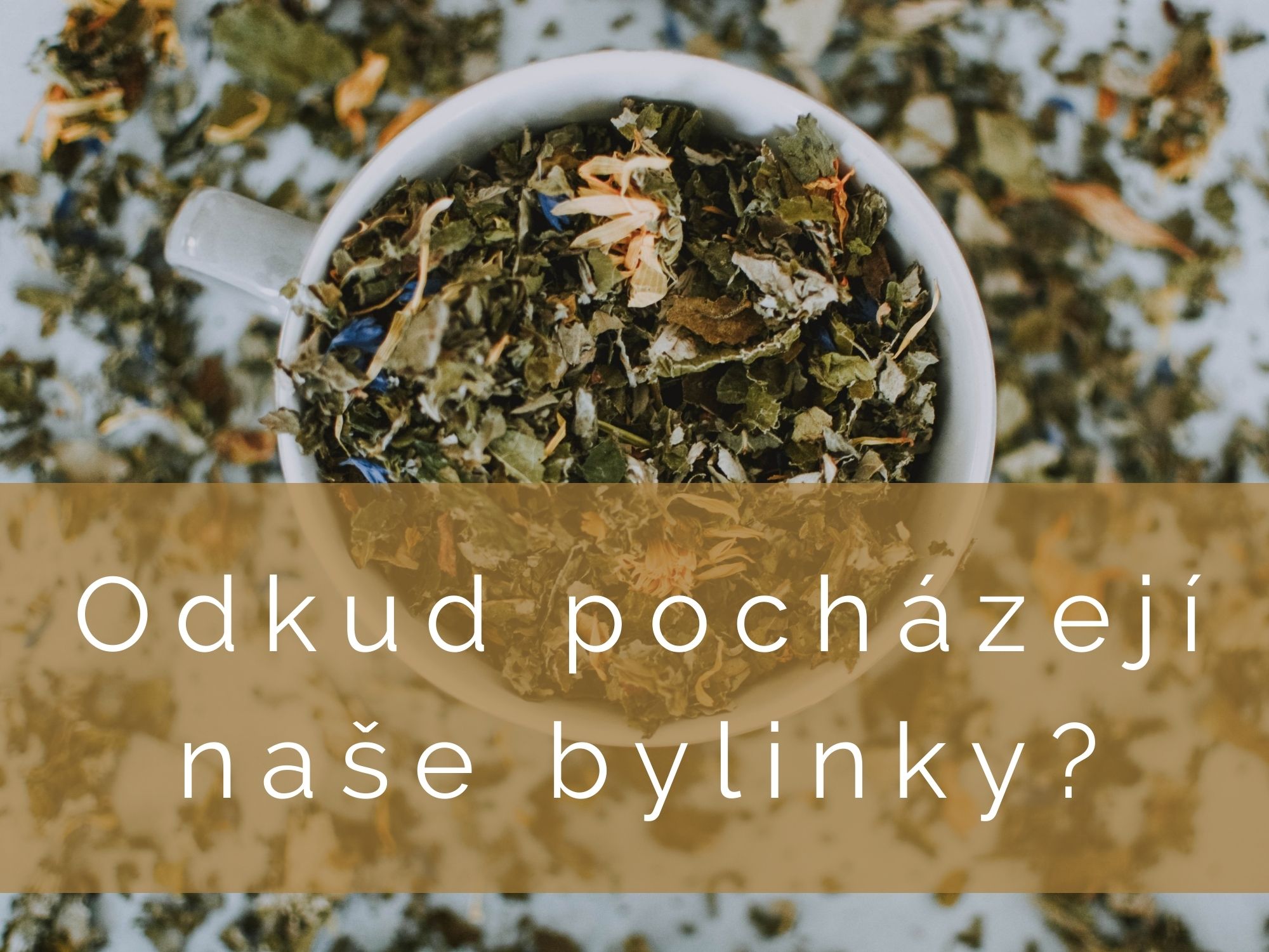 Odkud jsou naše bylinky?