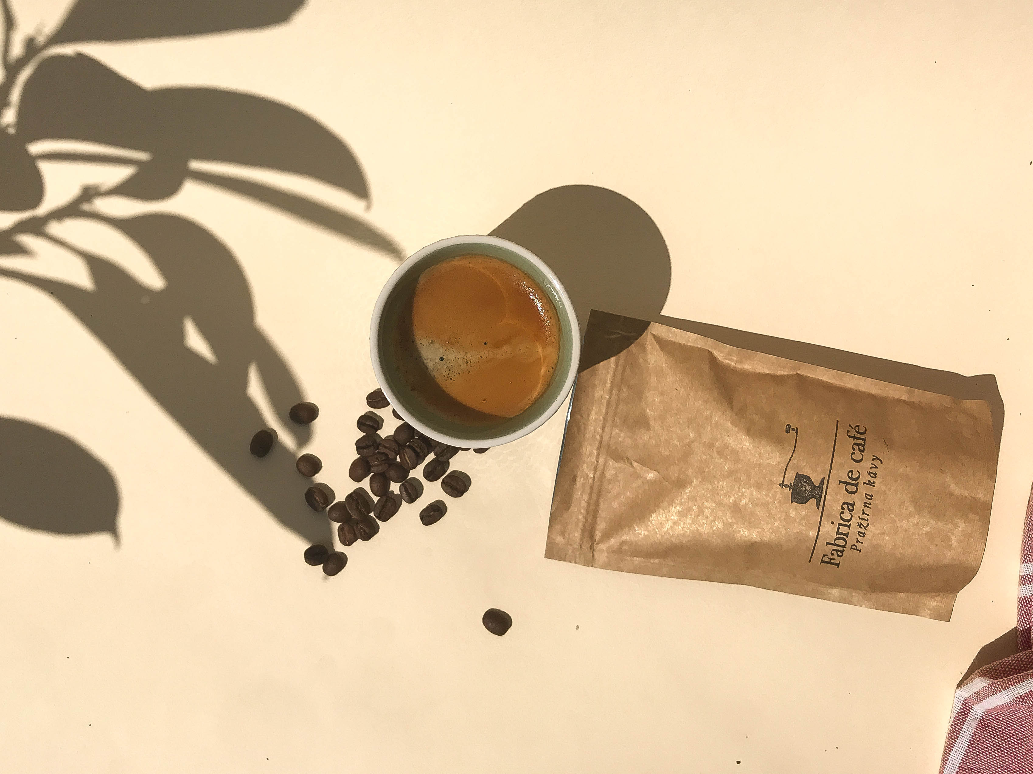 Co je to výběrová káva?