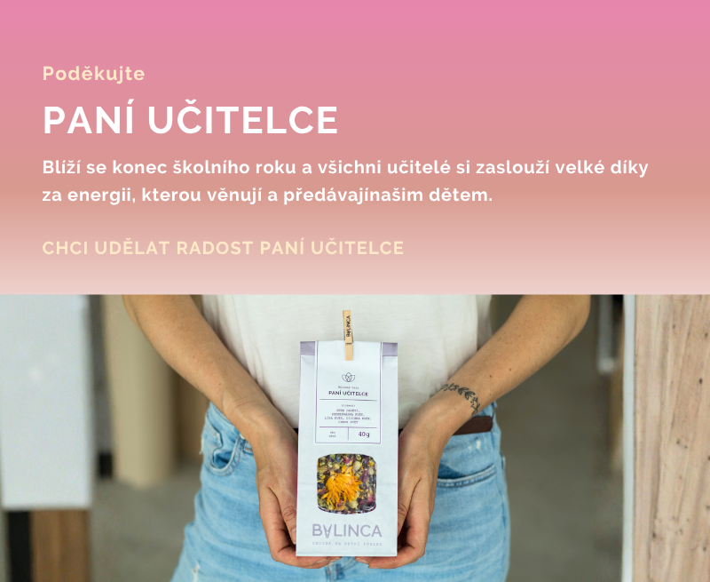 Paní učitelky