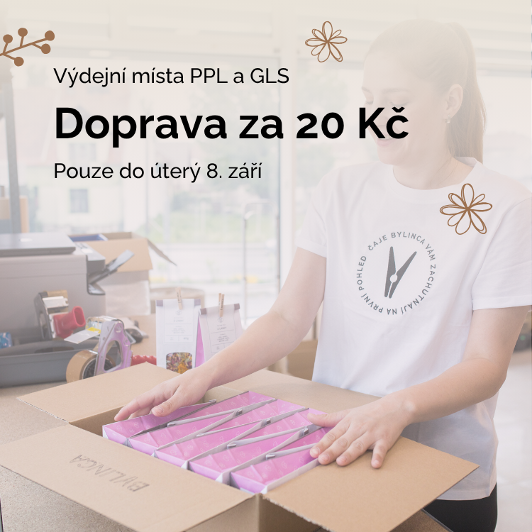 Doprava za 20 Kč