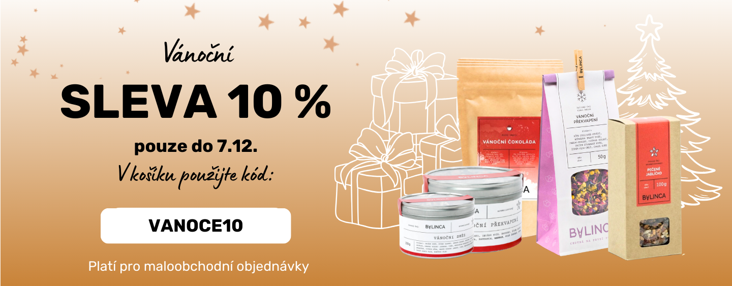 Sváteční sleva 10 %