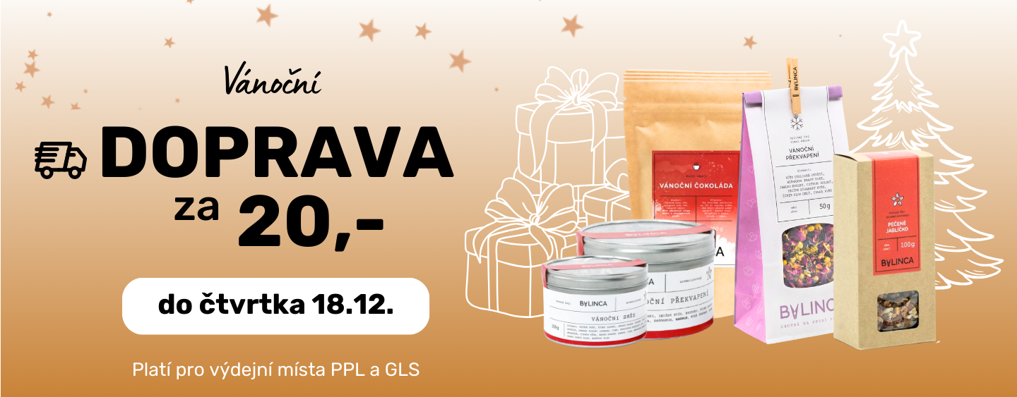 Doprava za 20Kč