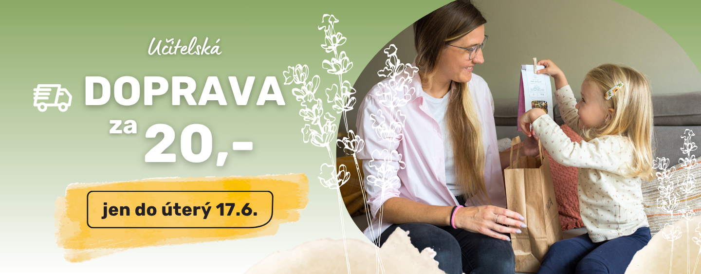 Učitelská doprava za 20Kč
