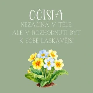 Někdy máme pocit, že musíme všechno změnit hned a od základu. Ale právě na jaře nám příroda ukazuje, že to jde i jinak –...