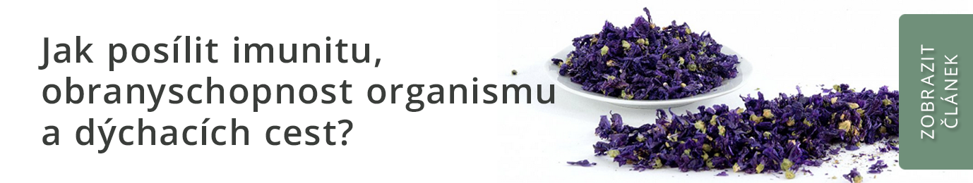 Jak posílit imunitu?