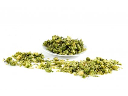 Chmel otáčivý ( Humulus lupulus ) - šištice drolené