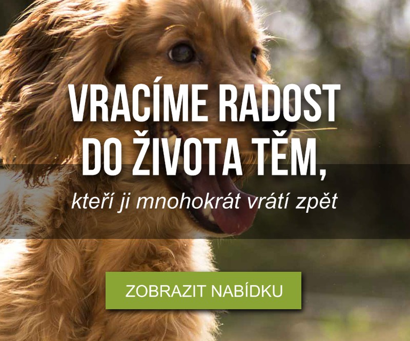 Vracíme radost do života