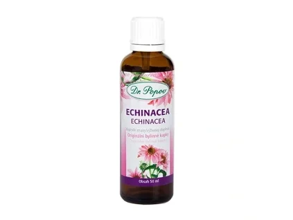 Echinacea (Třapatka), originální