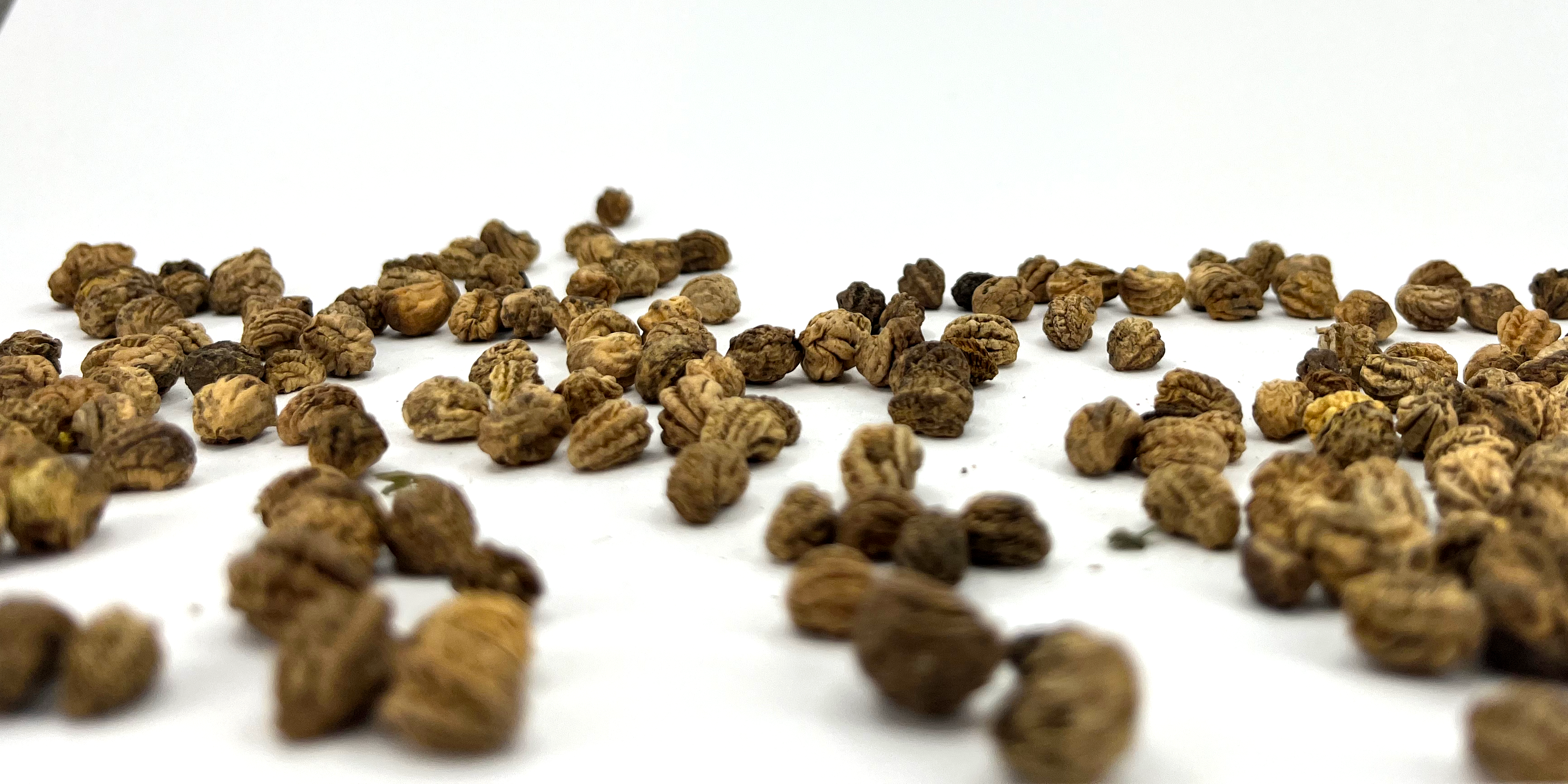 Lichořeřišnice větší – 5 důvodů, proč musí být ve vaší přírodní lékárničce