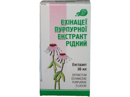echinacea