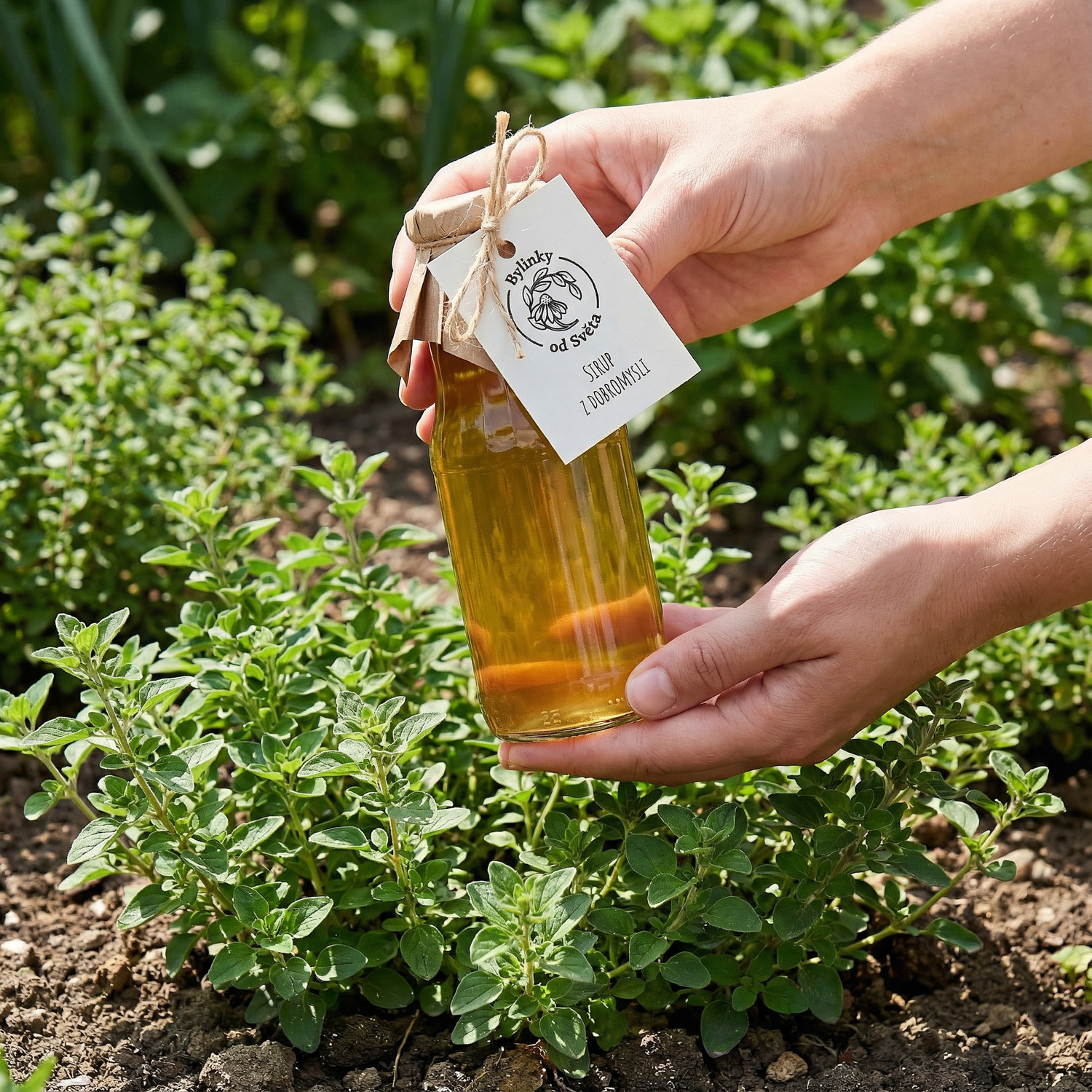 Nápoj z dobromyslového sirupu Bylinky od Světa