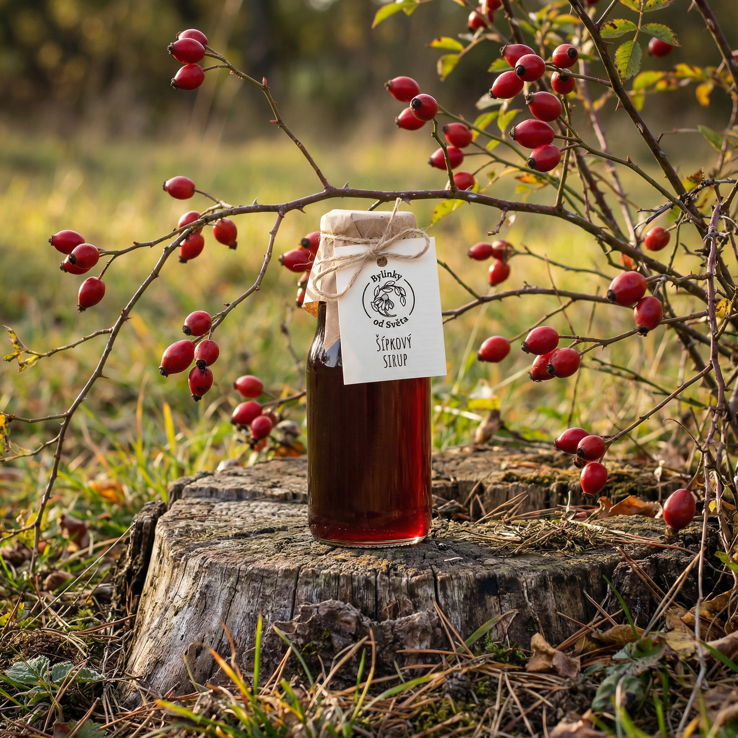 Domácí limonáda ze šípkového sirupu Bylinky od Světa