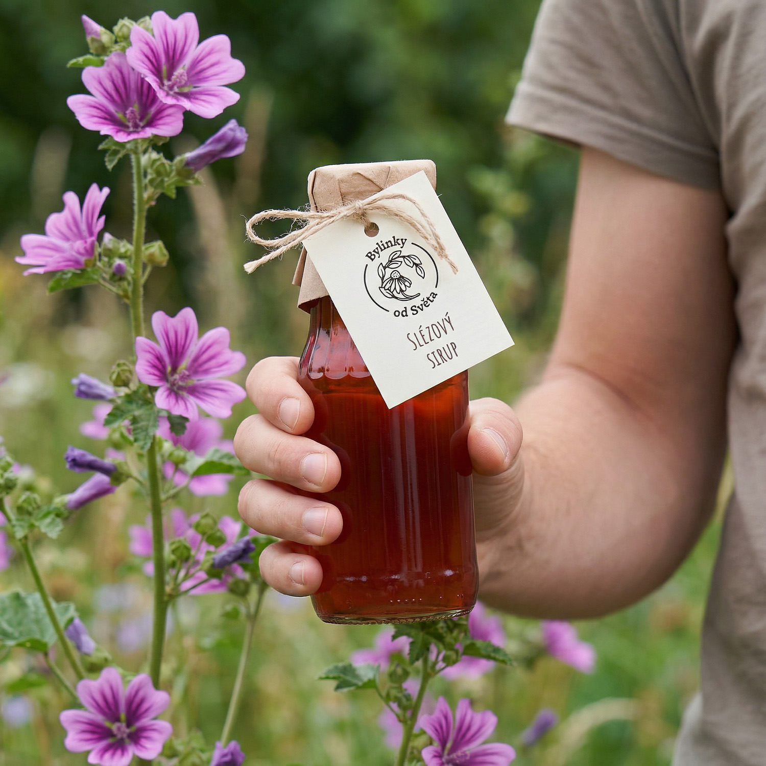 Květová limonáda ze slézového sirupu Bylinky od Světa