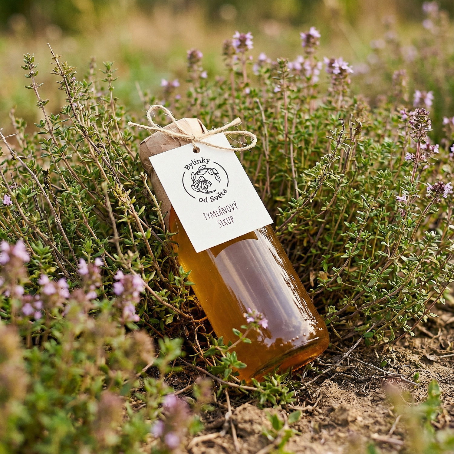 Tymiánový sirup Bylinky od Světa – jemně kořeněná bylinná chuť