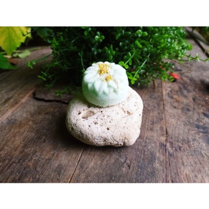 1075 litsea cubeba sumiva bombicka 25 g