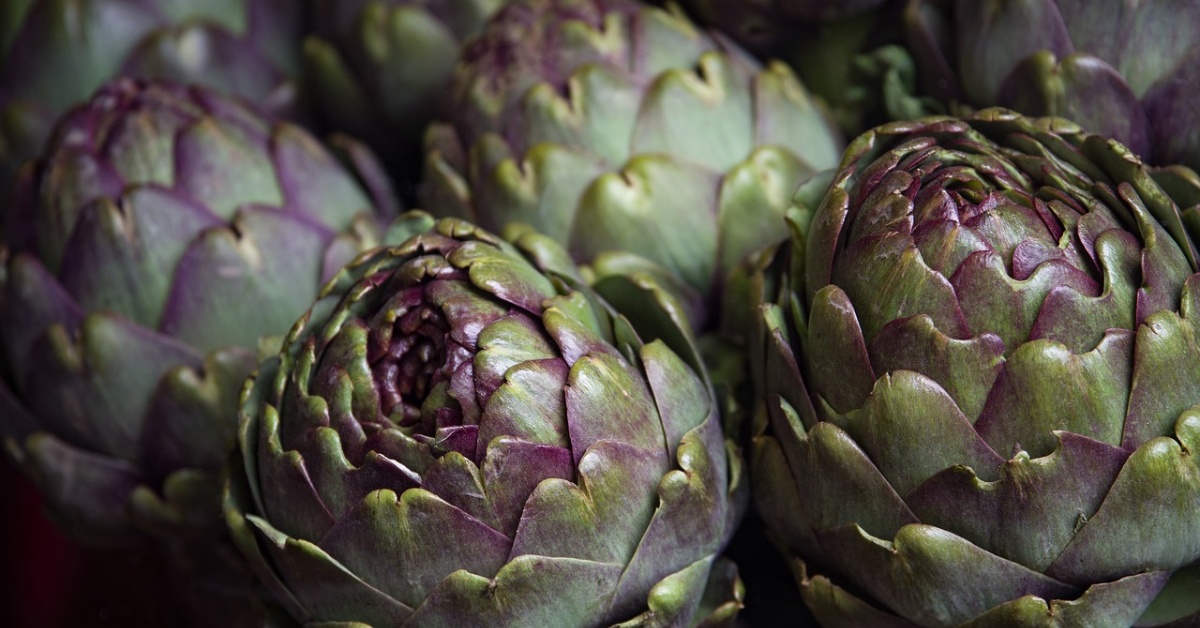 Alcachofa / artyčok - účinky, použití a dávkování