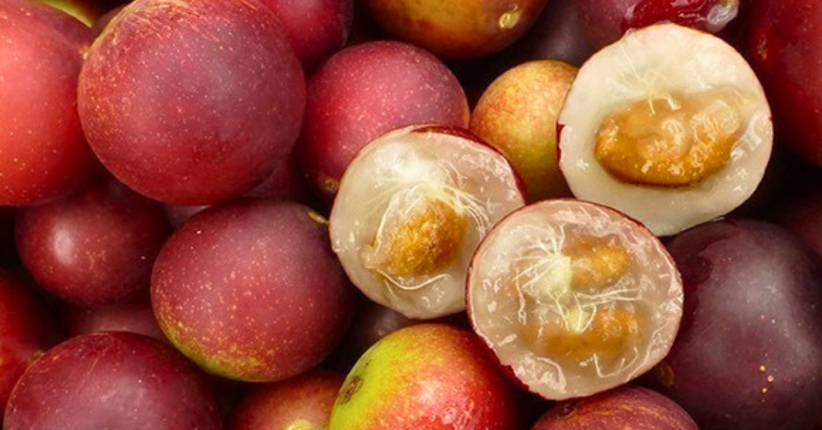 Camu Camu - Král vitamínu C a posilovač imunity. Účinky, použití a dávkování