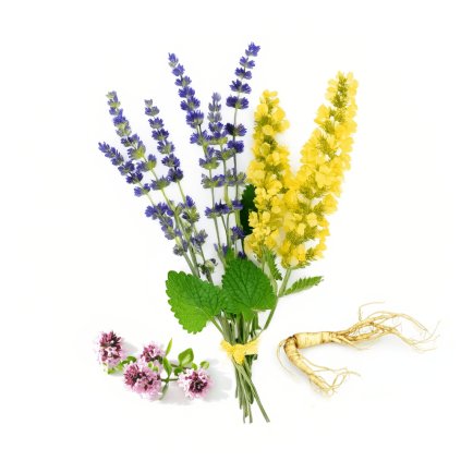 Čaj pro dobrou náladu a paměť