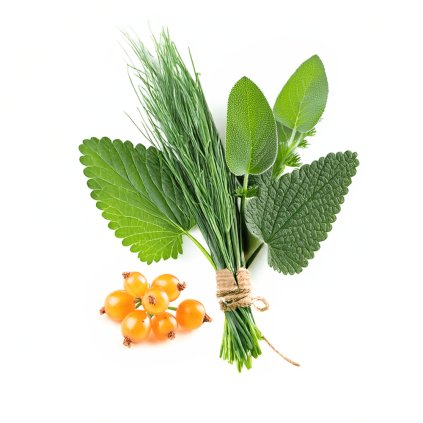 Čaj pro podporu imunitního systému