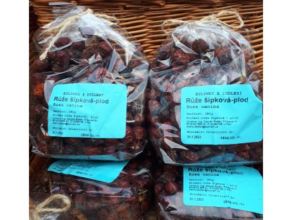 Růže šípková - plod