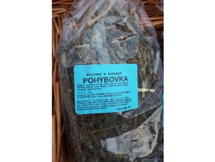 Pohybovka