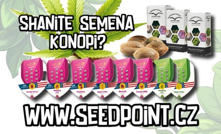 Seedpoint