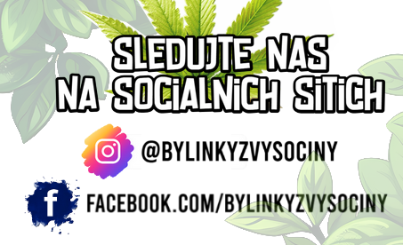 socialni site