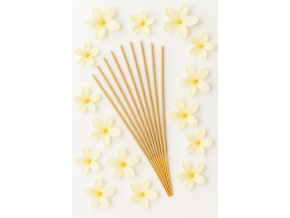 84581d42 aa6a 4e06 b653 1c34cae4f05c