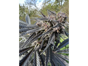 aa49f6b3 3906 4cfb 93e9 87b1df4c9dc0