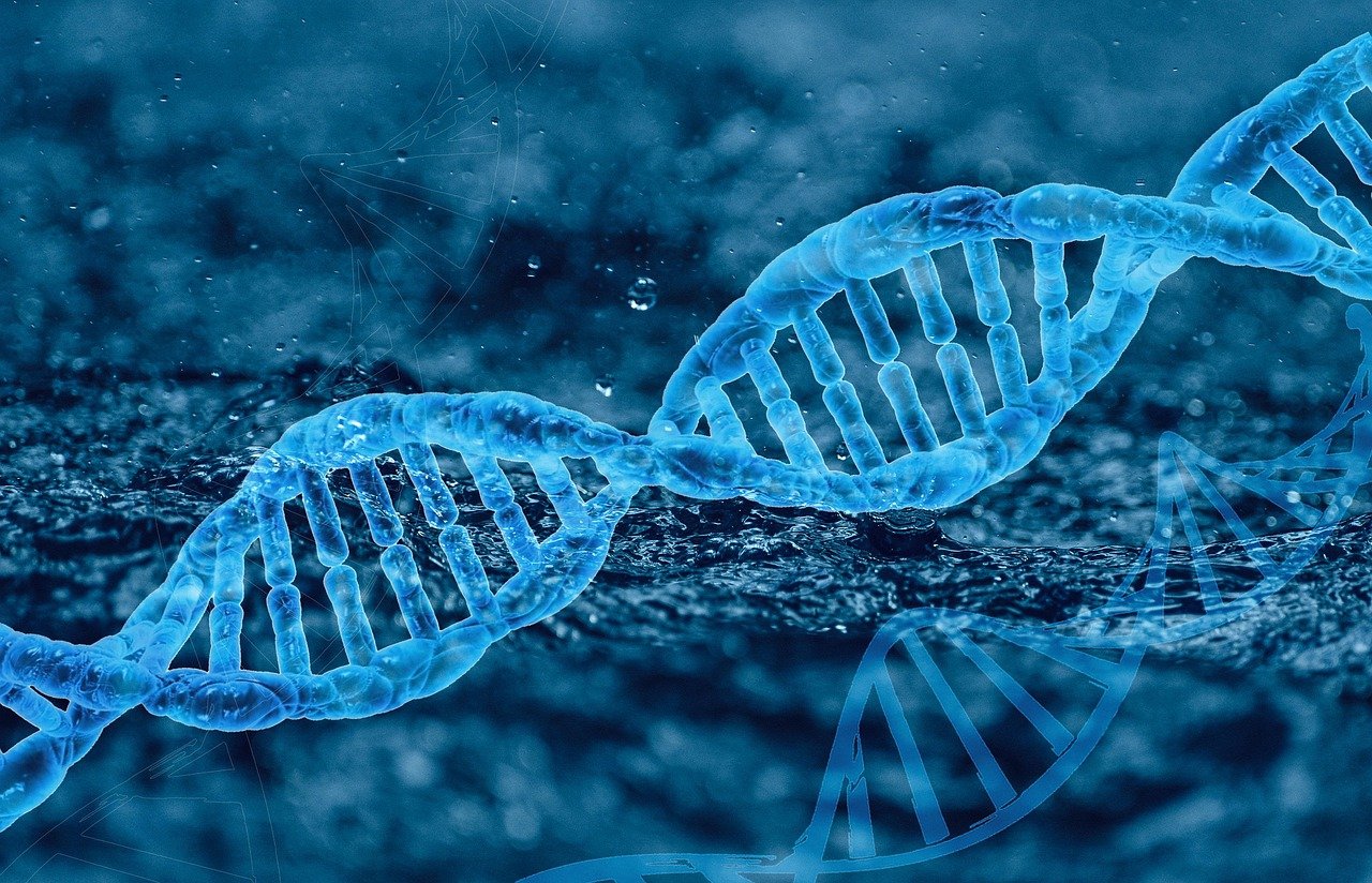 Epigenetika aneb klíč k porozumění dědičnosti a zdraví