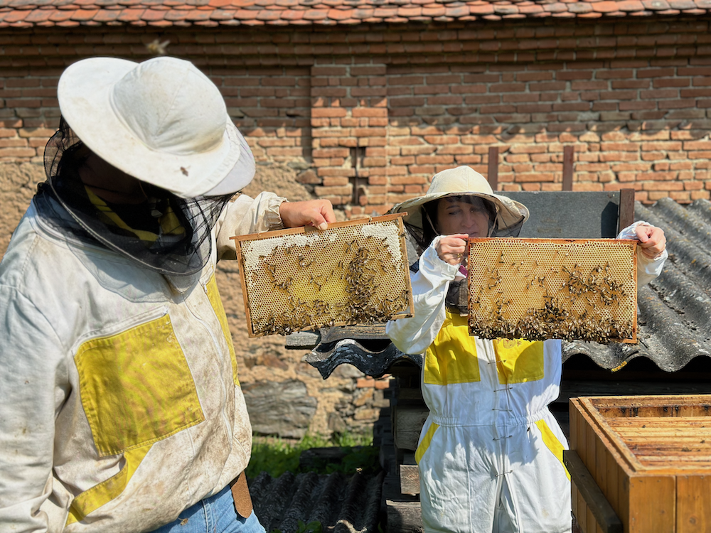 Nejlepší panenský med přímo od včelaře pana Smolíka