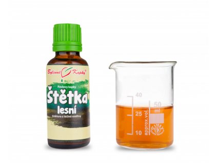 Bylinné kapky - Štětka lesní  (tinktura) 30 ml