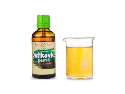 outkovka pestra coriolus pavlovy bylinne kapky tinktura 50 ml