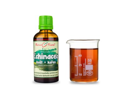 echinacea purpurea trapatka nachova kvetouci nat koren pavlovy bylinne kapky tinktura 50 ml
