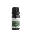 Nobilis Tilia Éterický olej Kafr (Objem 10 ml)