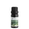Nobilis Tilia Éterický olej Bazalka (Objem 2 ml)