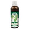 Naděje - Mgr.Podhorná Javor babyka (pupeny) 50 ml